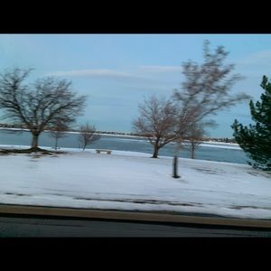 Meet your Posher, Dawn